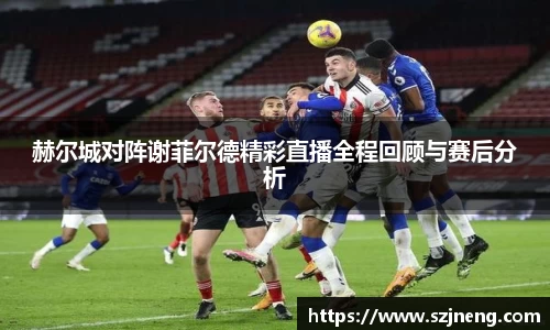 赫尔城对阵谢菲尔德精彩直播全程回顾与赛后分析
